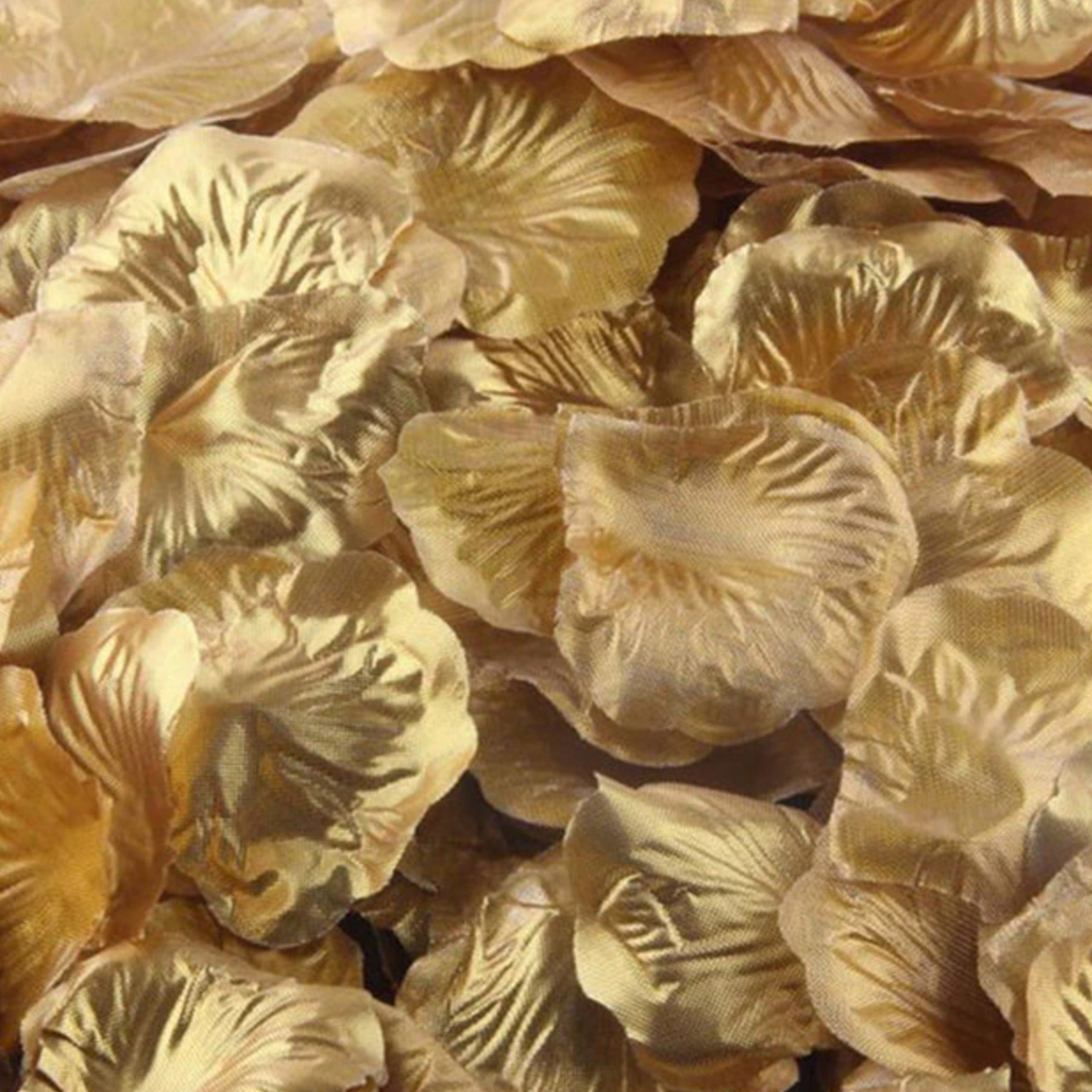 Pétales de fleur
