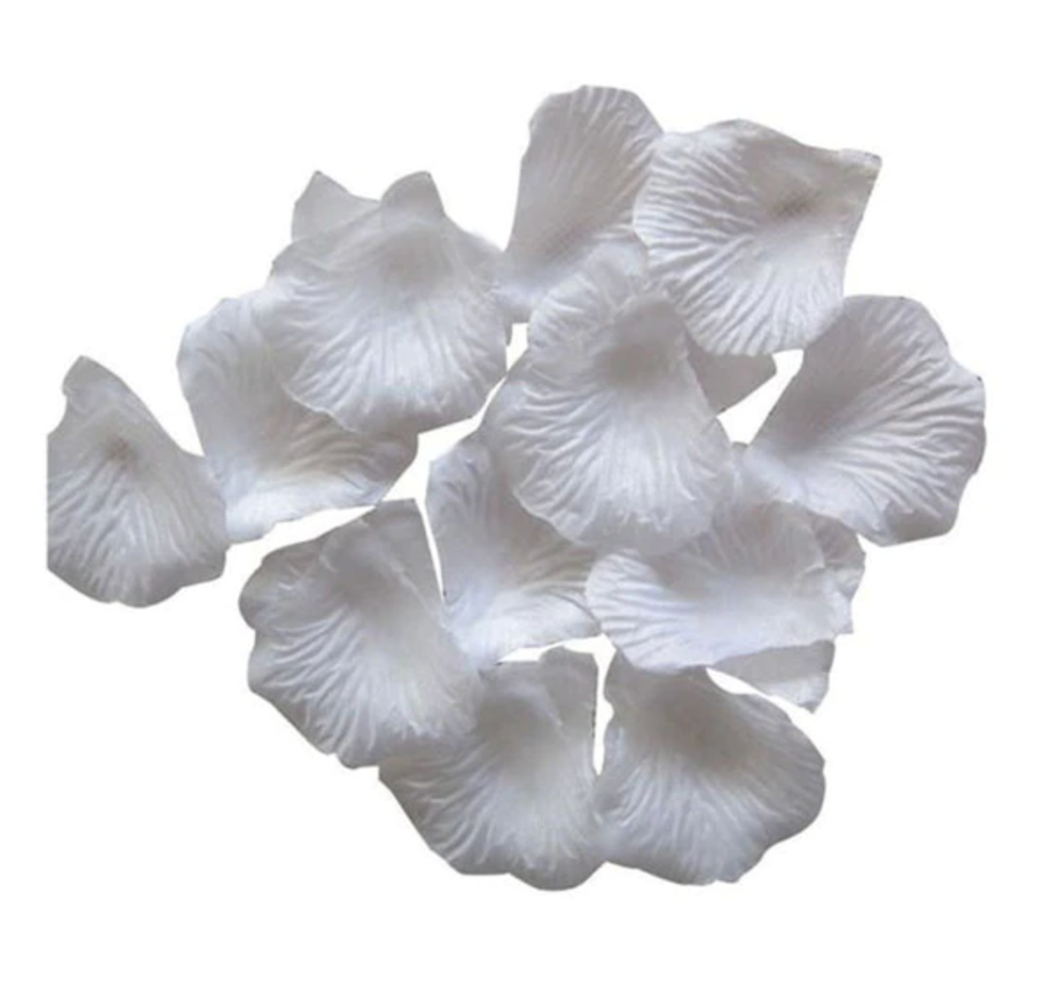 Pétales de fleur